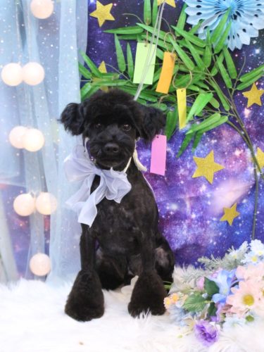 20250713レアくん